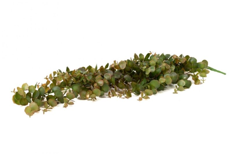 Umělý převislý eukalyptus