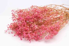 Stabilizirani cvetovi Gypsophila - Roza