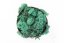Mușchi stabilizat - lichen - Verde turcoaz - Greutate: 5kg