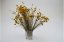 Stabilizované kvety Botao - Žlté