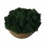 Čiščen stabiliziran mah - lišaji - temno zelen - finski - Teža: 5kg