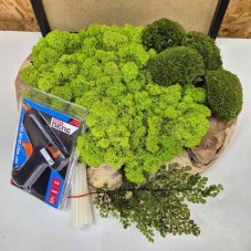 DIY készlet mohaképre – 30×40 cm