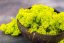 Muschio stabilizzato - lichene - Verde lime