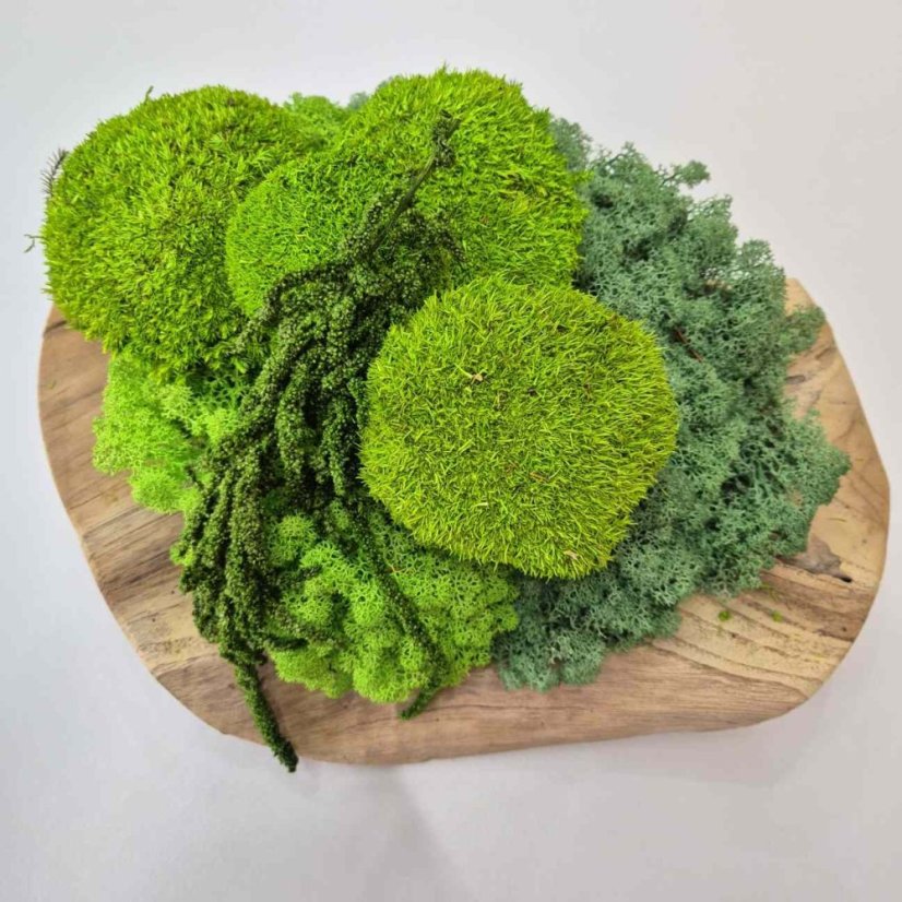DIY sada na machový obraz - 30x40cm - Farba rámu: Smrek, Farba kopčekového machu: Svetlo zelená