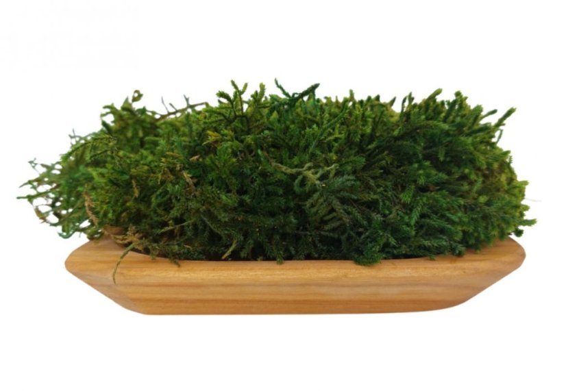 Muschio piatto - Verde naturale PREMIUM - Peso: 1kg (cca 0,75m²)