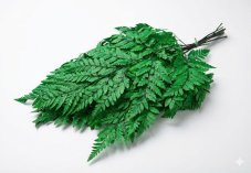 Stabilisierter Leather-Farn - Apfelgrün