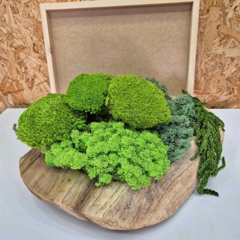 DIY sada na machový obraz - 30x40cm - Farba rámu: Smrek, Farba kopčekového machu: Svetlo zelená