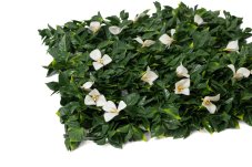 Pannello vegetale artificiale – Convolvolo