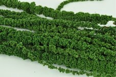 Stabiliziran Amarant - Srednje zelena