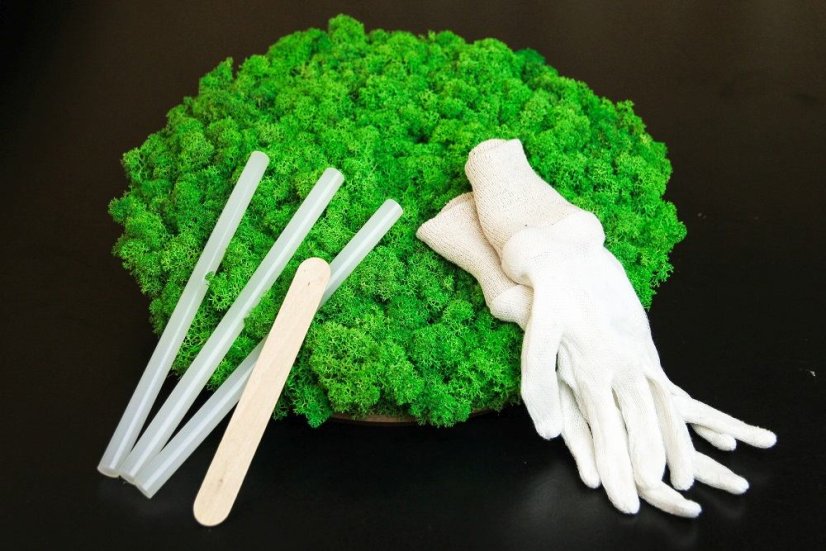 DIY kit cerchio di muschio 30 cm - lichene - Colore del lichene: Verde bosco