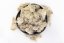 Stabilisiertes Moos - Flechte - Naturell - Gewicht: 5kg