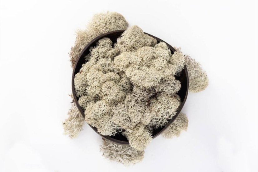 Očiščen stabiliziran mah - lišaji - naravni - finski - Teža: 1kg