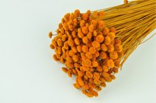Stabilizované kvety Botao - Oranžové