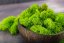 Mușchi stabilizat curățat - lichen - Verde măr - Finlandez - Greutate: 100g