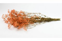 Stabilizirani cvetovi Gypsophile - Barve breskve