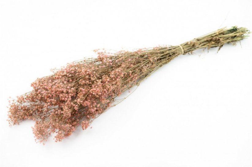 Stabilizované kvety Gypsophila - Bledoružová