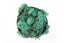Stabilizovaný mech - lišejník - Tyrkysová zelená - Hmotnost: 1kg