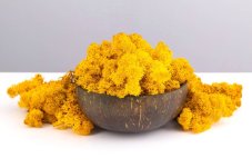 Mușchi stabilizat - lichen - Chihlimbar