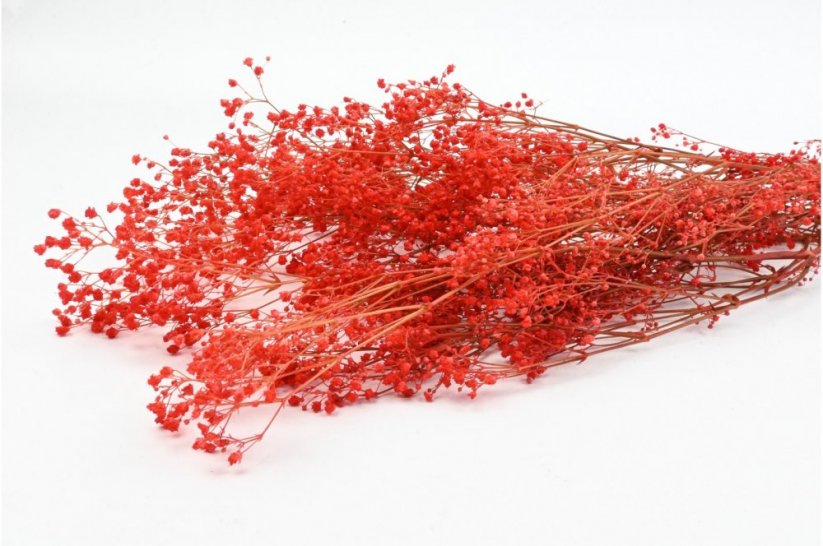 Stabilizované kvety Gypsophila - Červená