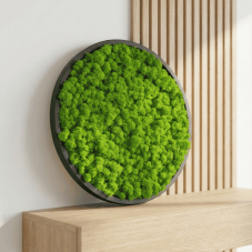 DIY sada na machový kruh s rámom - Lišajník