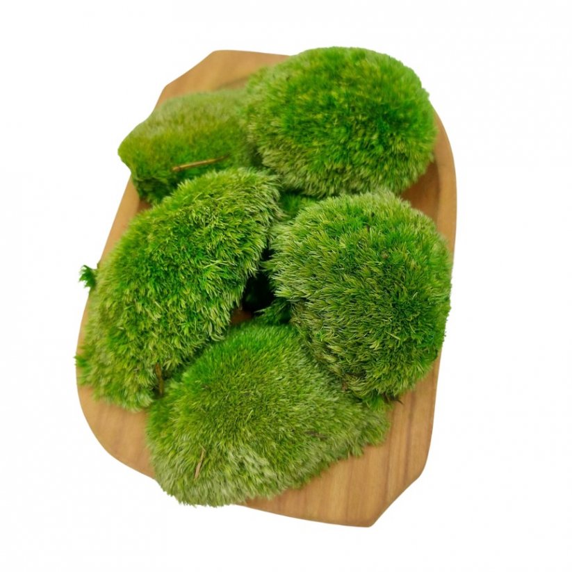 Kopečkový mech Mini - Jarní zelená - Balení 0,15m2