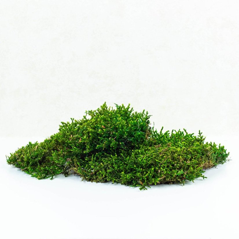 Flachmoos - Naturgrün PREMIUM - Gewicht: 1kg (ca 0,75m²)