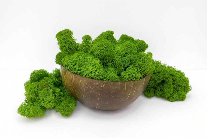 Očiščen stabiliziran mah – lišaj – grahovo zelen – finski - Teža: 500g