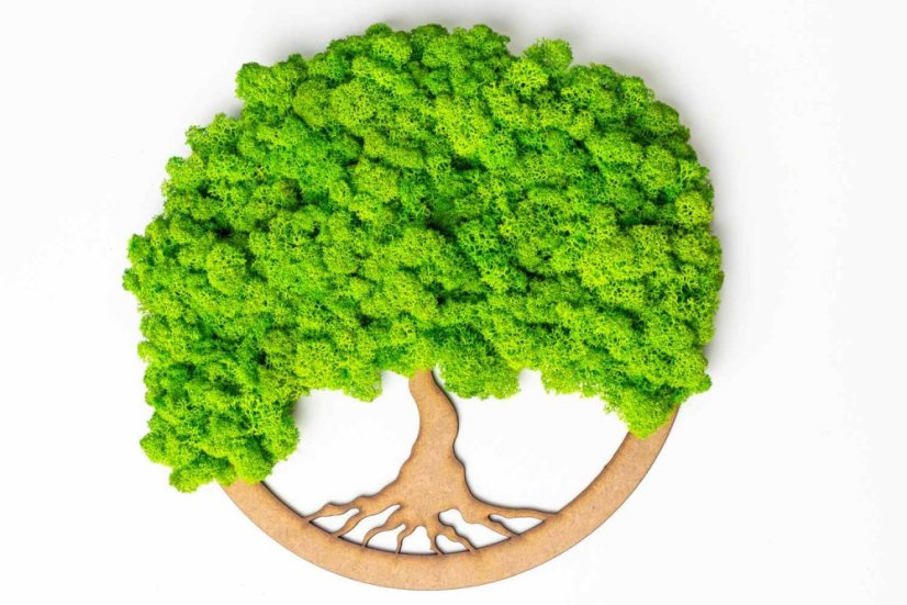 Copac de mușchi - Verde deschis