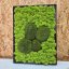 DIY sada na machový obraz - 30x40cm - Farba rámu: Smrek, Farba kopčekového machu: Svetlo zelená