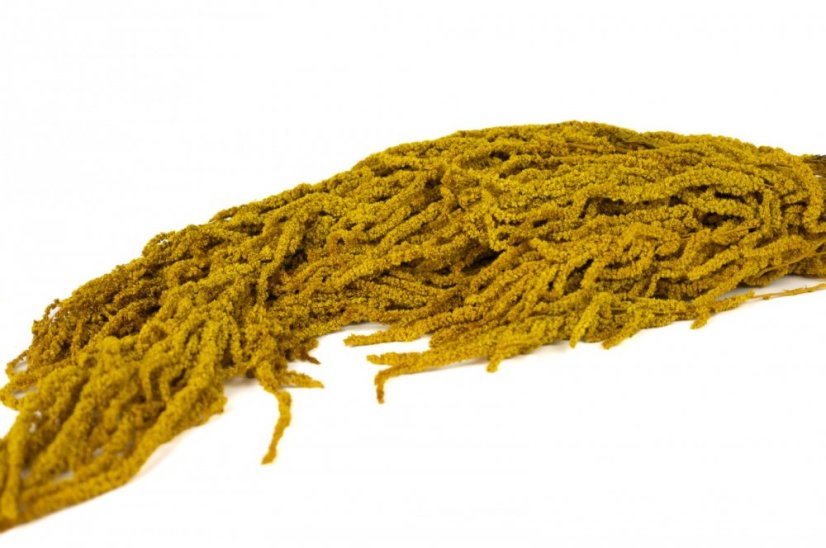 Stabilizovaný Amarant - Žlutý - Velikost: Sáček (20g)
