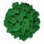 Čiščen stabiliziran mah - lišaj - smaragdno zelen - finski - Teža: 1kg