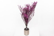 Stabilisiertes Heidekraut - Magenta