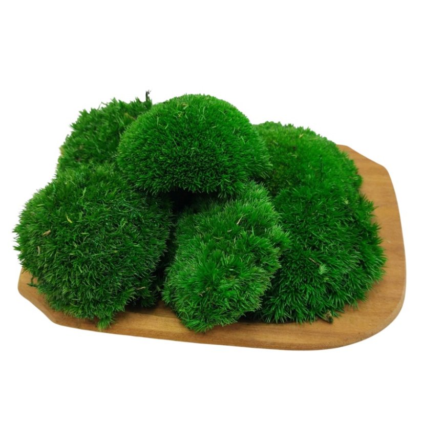 Kugelmoos Mini - Apfelgrün - Paket 0,15m2