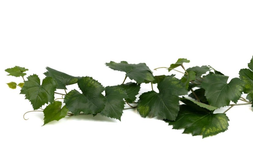 Künstlicher Kletterwein