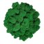 Panou de licheni - 60x40cm - Culoarea panoului: Smarald