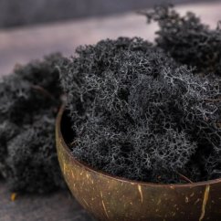 Mușchi stabilizat - lichen - Negru