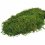 Plochý mach - Prírodná zelená - Váha: 500g