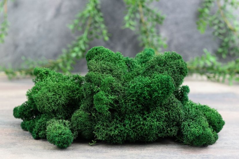 Mazzetto Di Muschio Artificiale Finto – Pianta Decorativa In Lichene Verde (27x28x13 Cm) Per Casa, Giardino, Terrazzo E Matrimoni