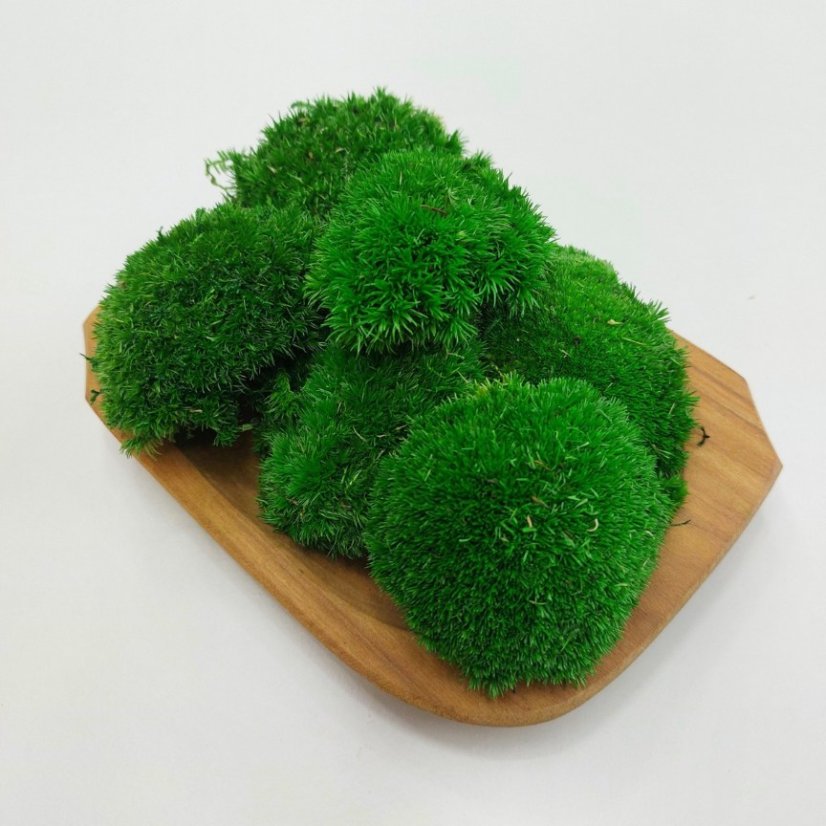 Kugelmoos Mini - Apfelgrün - Paket 0,15m2