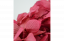 Stabilizovaná hortenze - Růžová