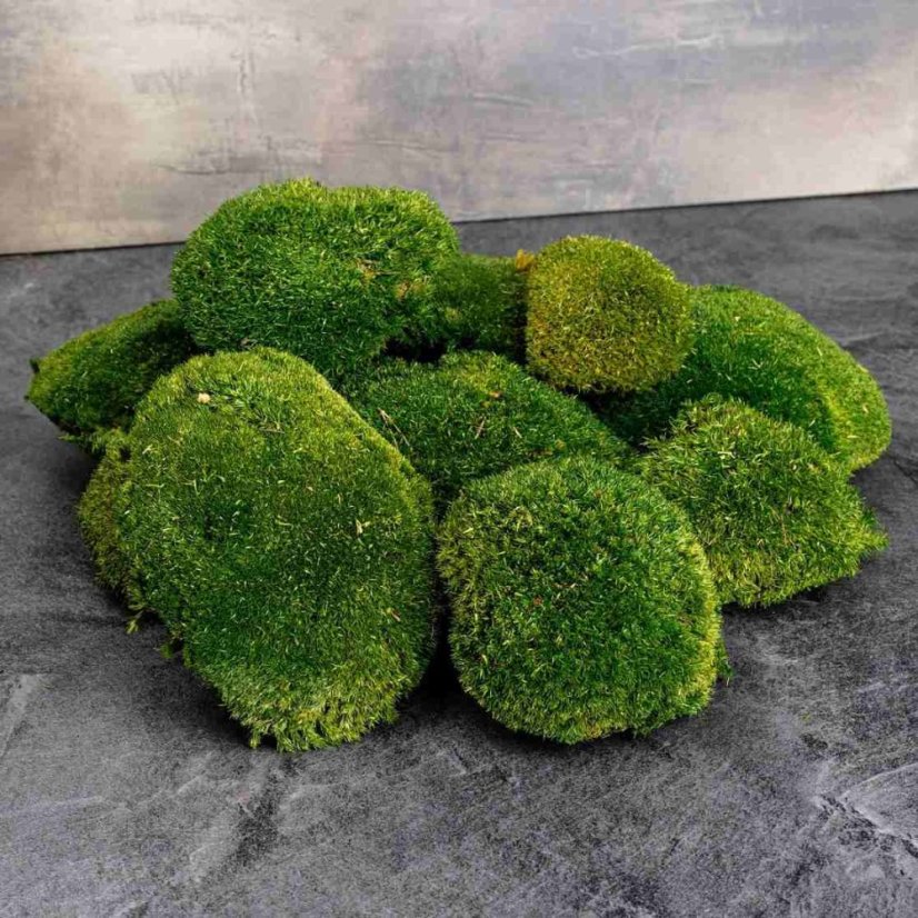 Kugelmoos - „Schildkröte“ - Naturgrün - Fläche: 0,7m² (deckt eine Fläche von 100x70cm ab)