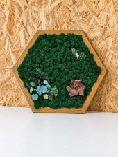 Hatszögletű mohakép – 54x47 cm, zuzmó, tölgyfa színű keret