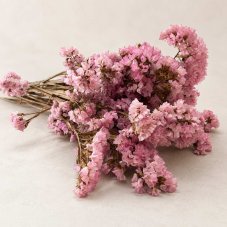 Flori stabilizate Limonium - Roz
