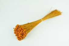 Stabilizované kvety Botao - Oranžové