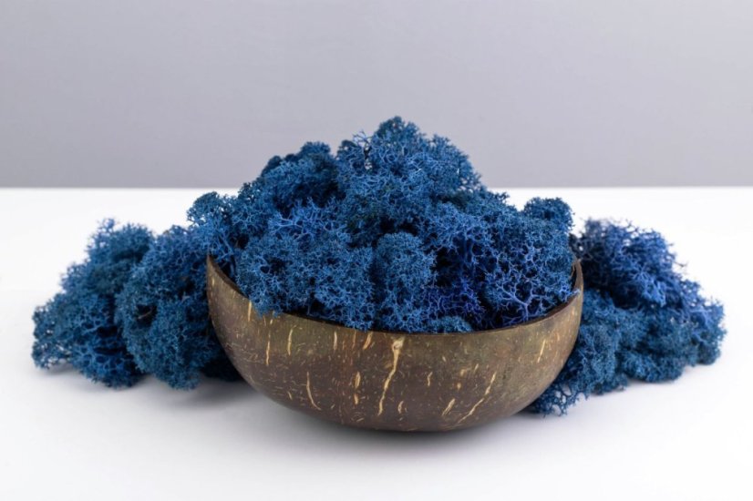 Mușchi stabilizat - lichen - Albastru - Greutate: 1kg