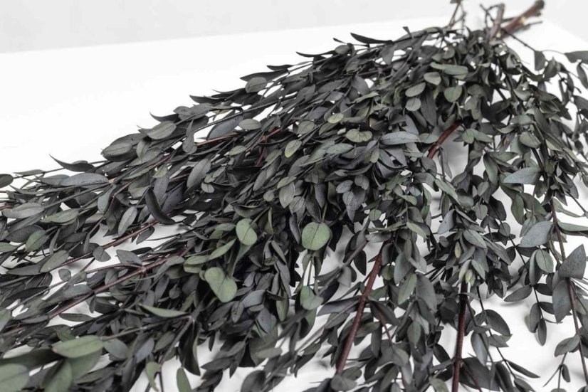 Stabilizált Eucalyptus Parvifolia - nagykereskedelem - Darabszám: Doboz (30 darab)