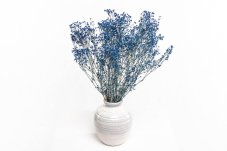 Stabilizované kvety Gypsophila - Královská modrá