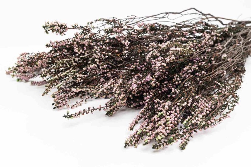 Stabilisiertes Heidekraut - Natural