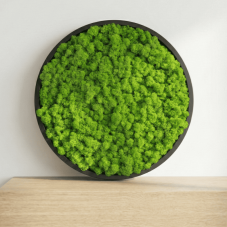 Machový obraz kruh - Lišajník