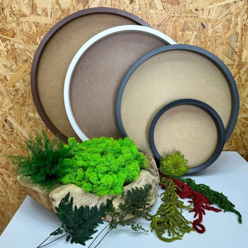 DIY-Set für Mooskreis mit Rahmen - Flechte (Islandmoos) - Durchmesser: 35cm